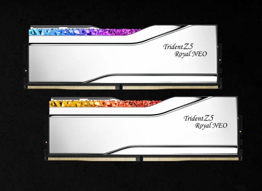 G.SKILL F5-6000J2636H24GX2-TR5NS 48GB (2 x 24GB)/AMD EXPO/DDR5 6000MT/s/ Timings 26-36-36-96/Voltage 1.45 V/ EXPO TZ5 Royal Neo S